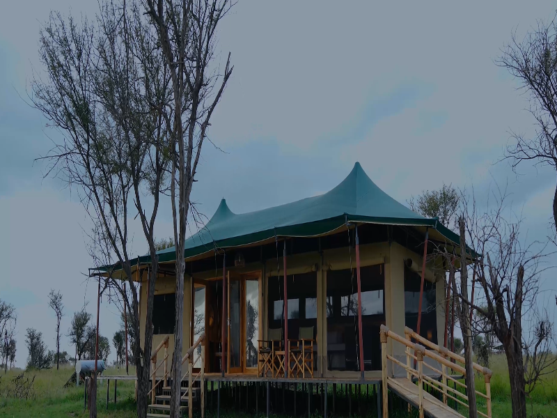 Standard Safari Tent