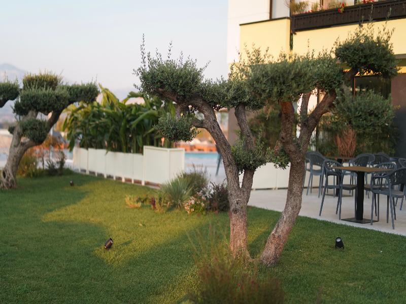Lord Hotel image