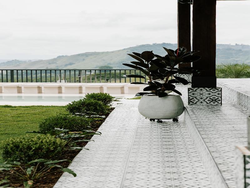 Catleya Royal Club image
