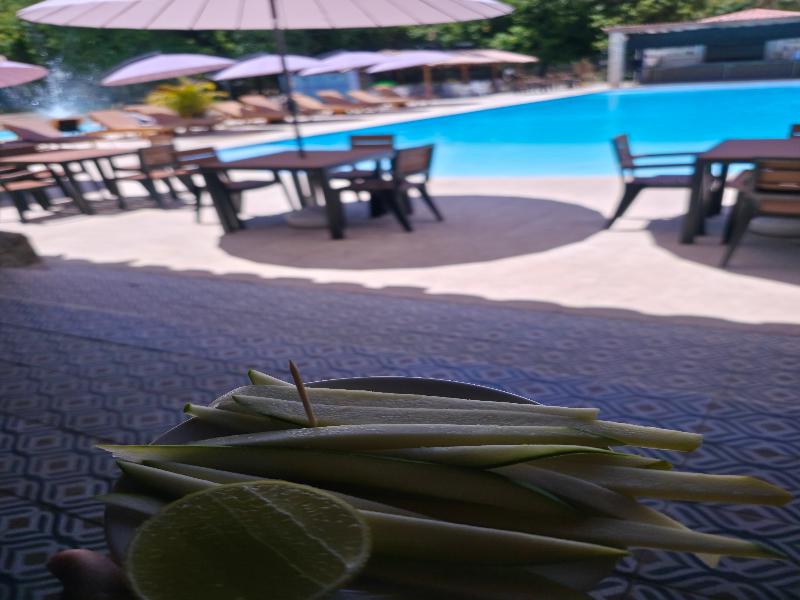 Hotel Campestre Real image