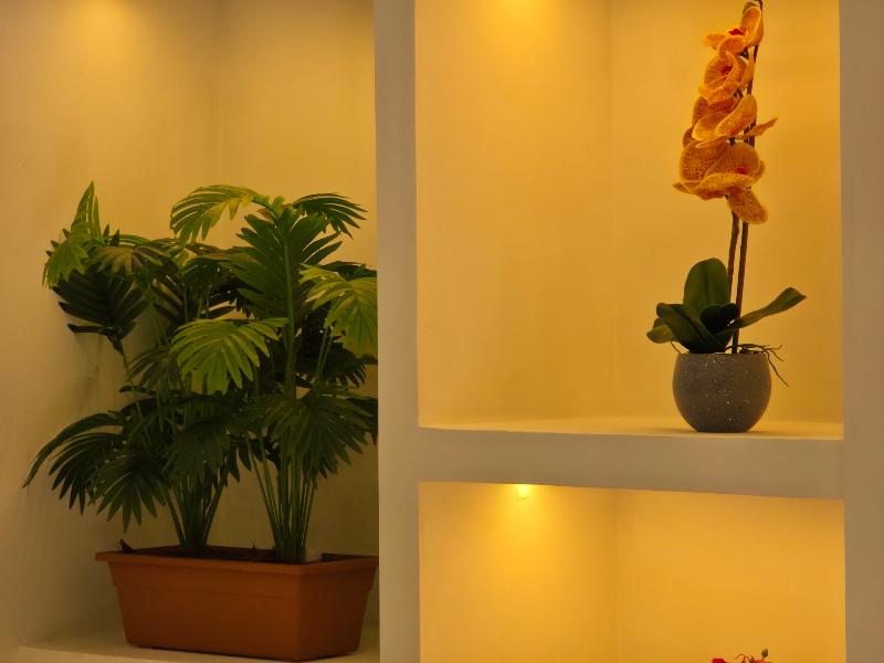 Hotel Campestre Real image