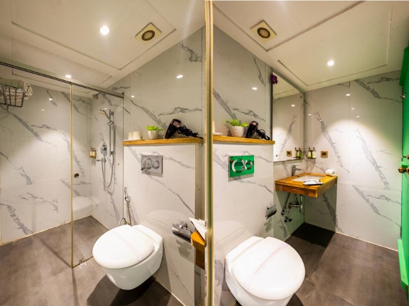 Hotel Pinky Villa-heritage Boutique Suites Delhi image