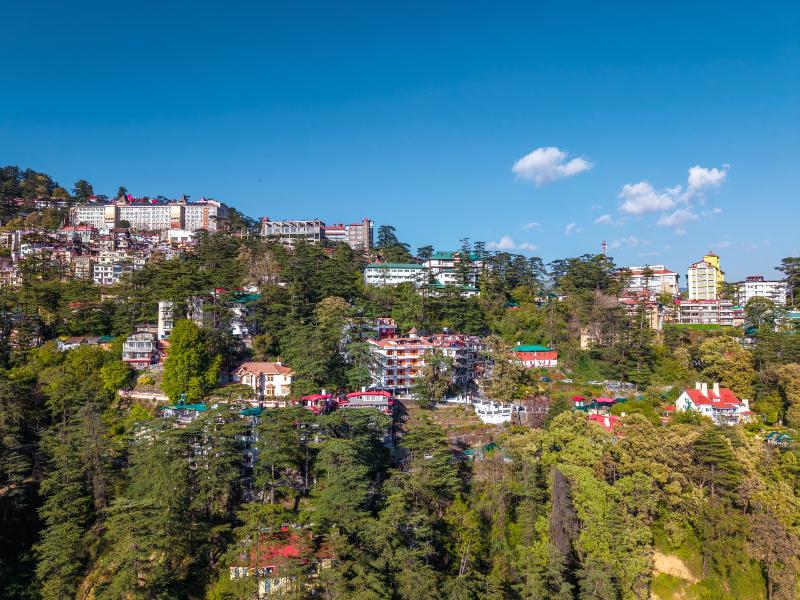 PACK Shimla image