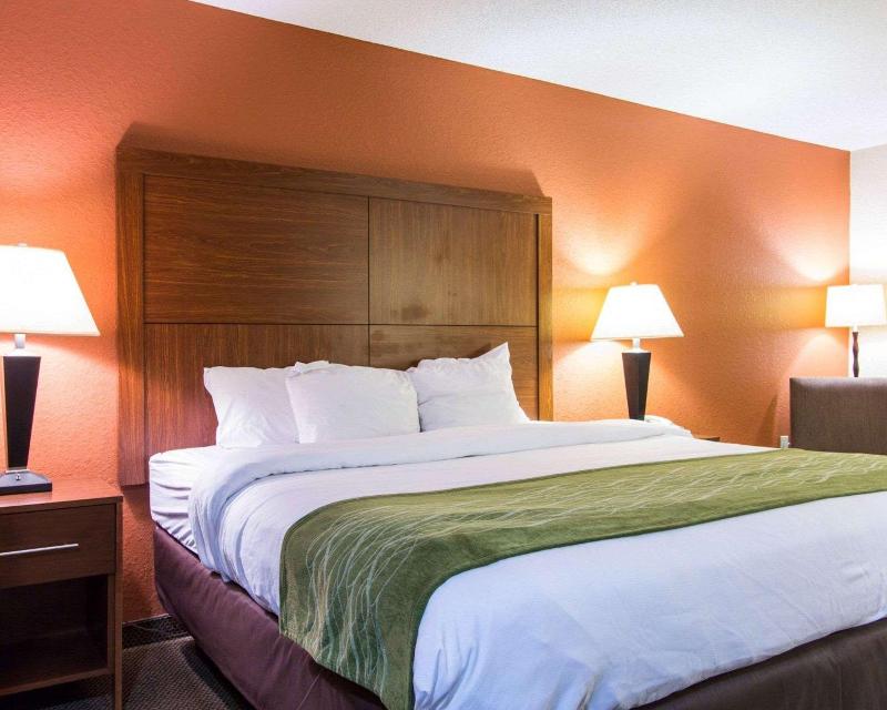 Comfort Inn & Suites Airport Convention Center image