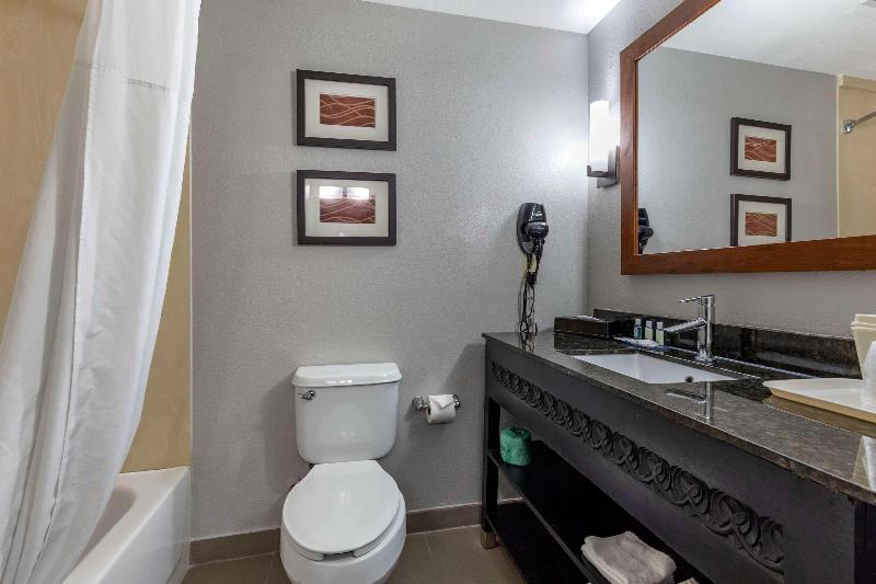 Quality Inn & Suites I-35 E/Walnut Hill image