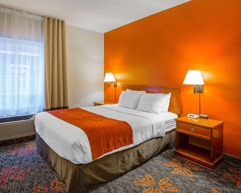 Comfort Inn & Suites University Comfort Inn & Suites University
