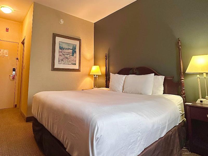 Econo Lodge City Centre Kingston image