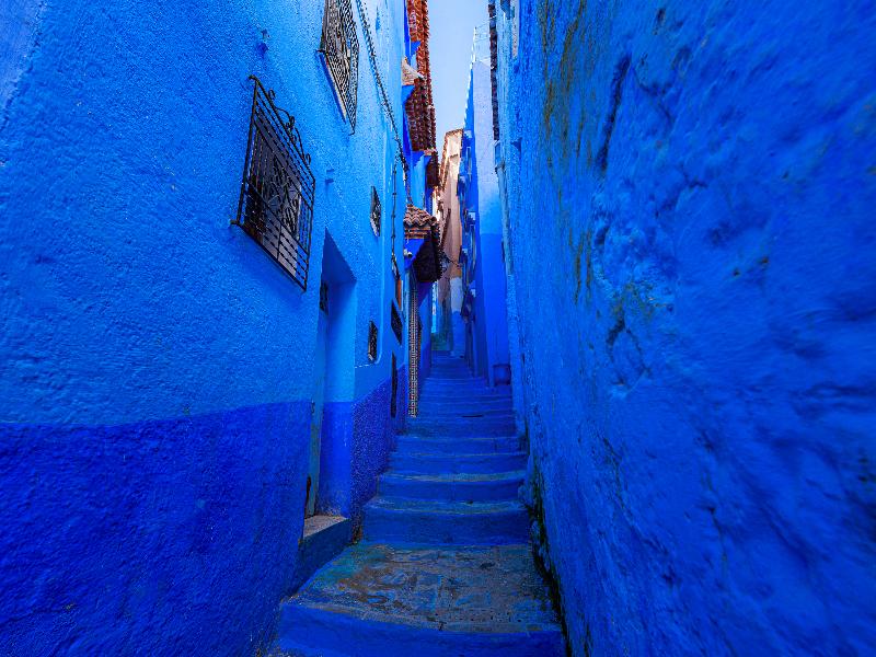 Riad Seddiki image