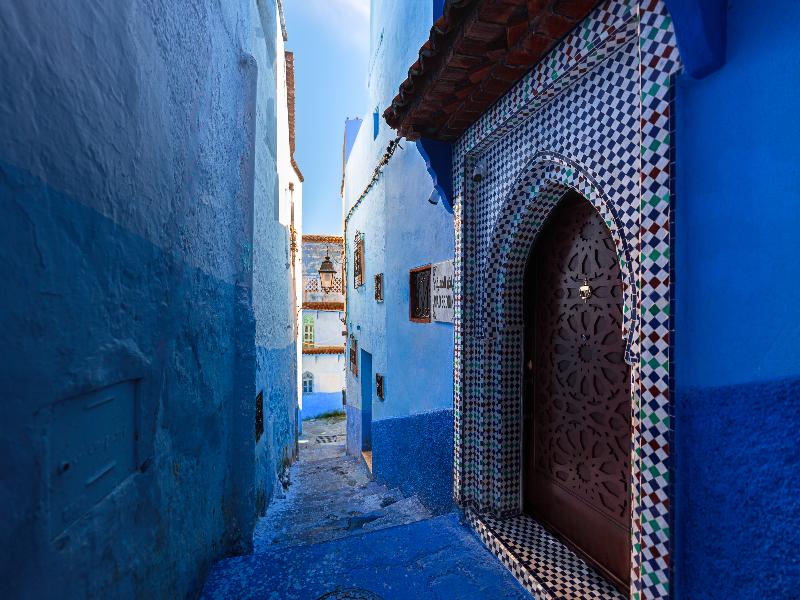 Riad Seddiki image