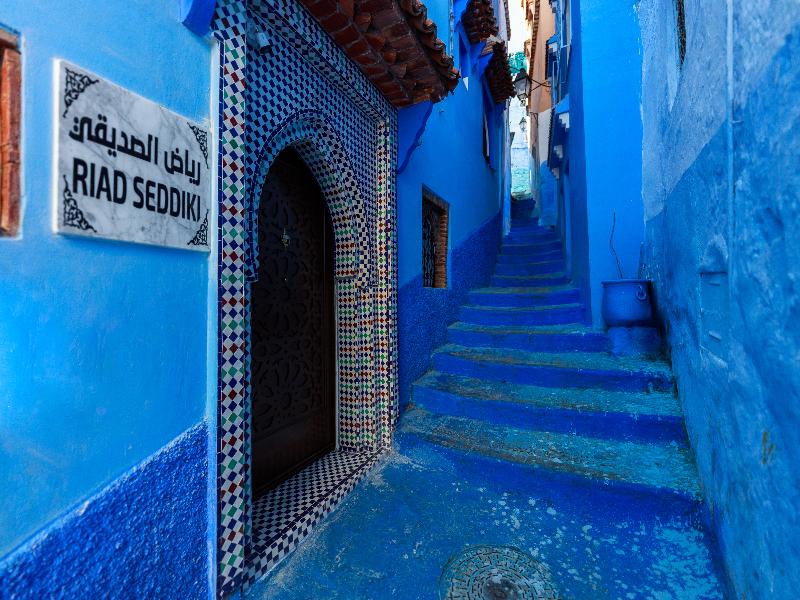 Riad Seddiki image
