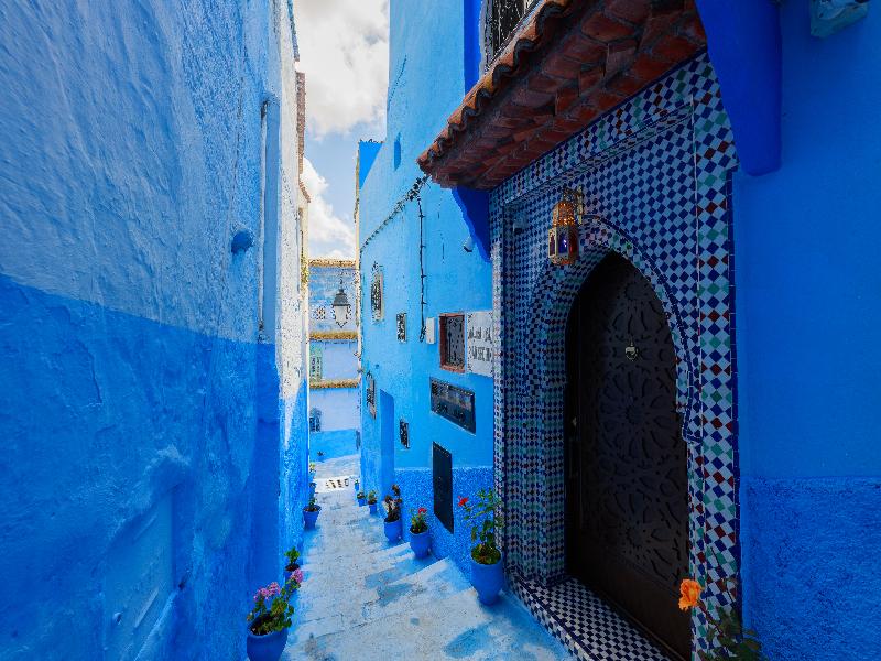 Riad Seddiki image