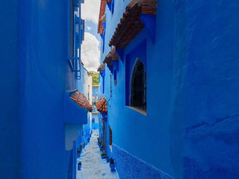 Riad Seddiki image