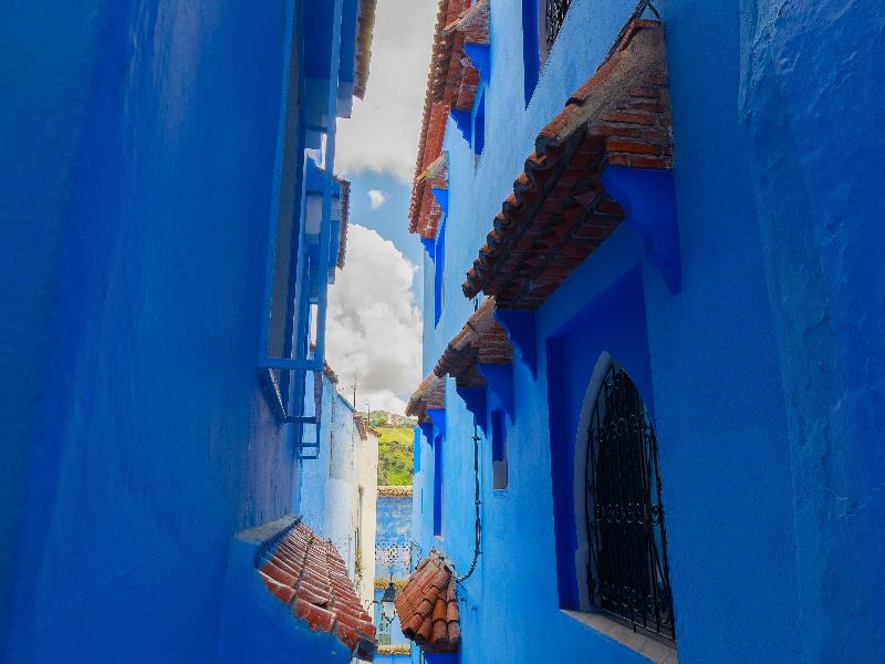 Riad Seddiki image