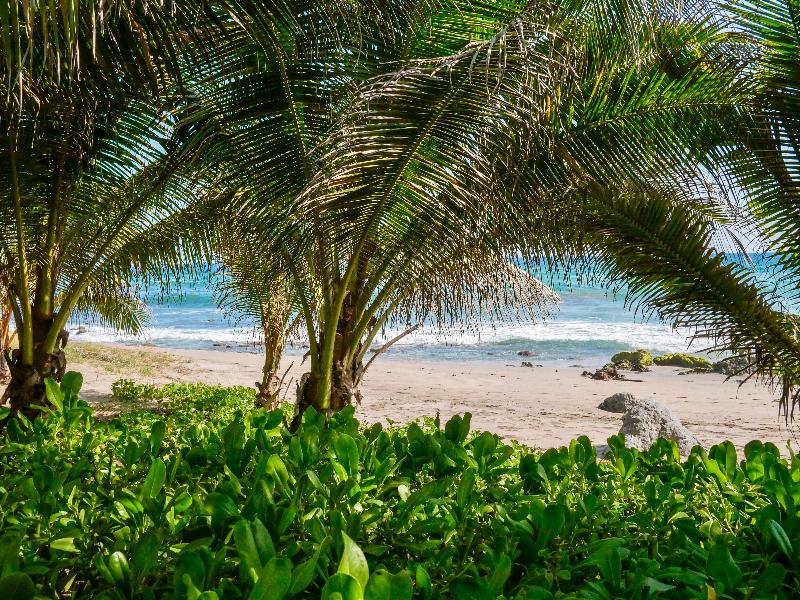 Quinta Feliz Troncones