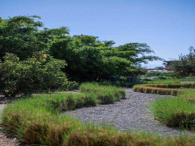 DOMAINE DAR SYADA BOUTIQUE HOTEL & SPA image