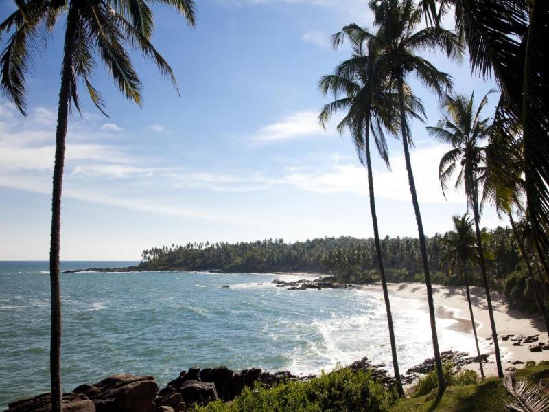 Palm Paradise Cabanas Ltd image