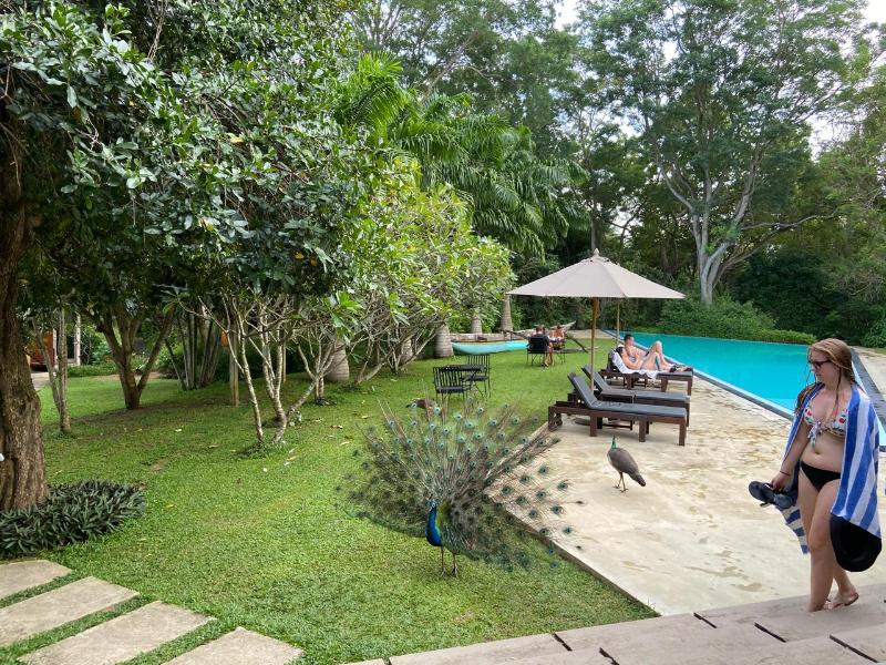 Palm Paradise Cabanas Ltd image