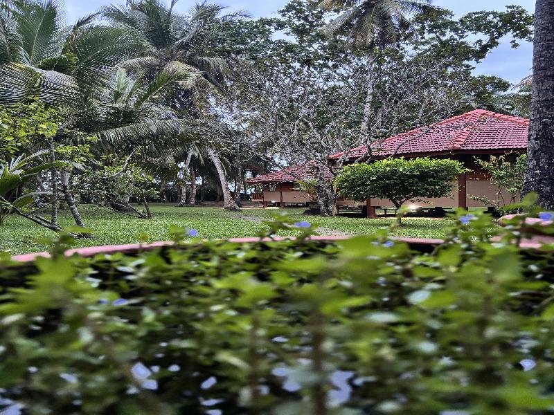 Palm Paradise Cabanas Ltd image