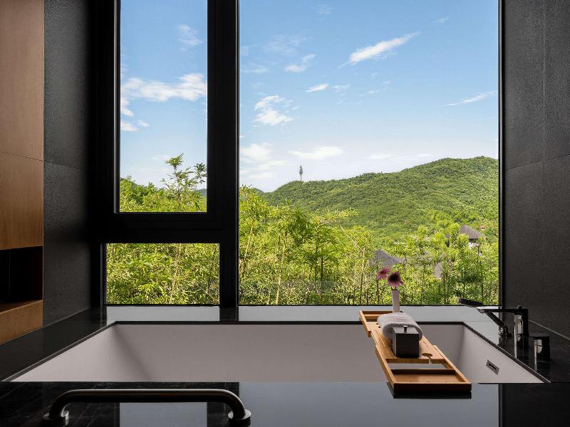 Pullman Moganshan image