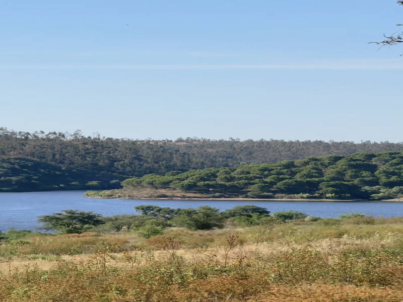 Herdade Terra Rica image