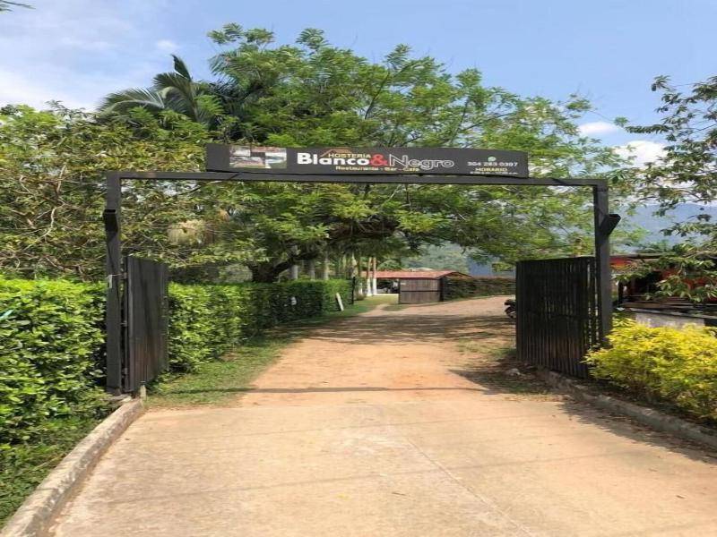 Hotel Selva Cristal image