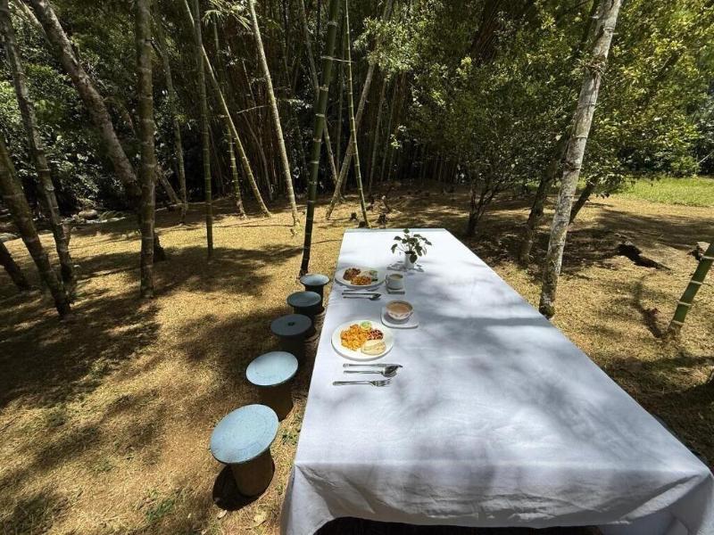 Hotel Selva Cristal image