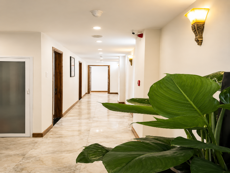 Quy Nhon Center Hotel - 08 Tran Doc image
