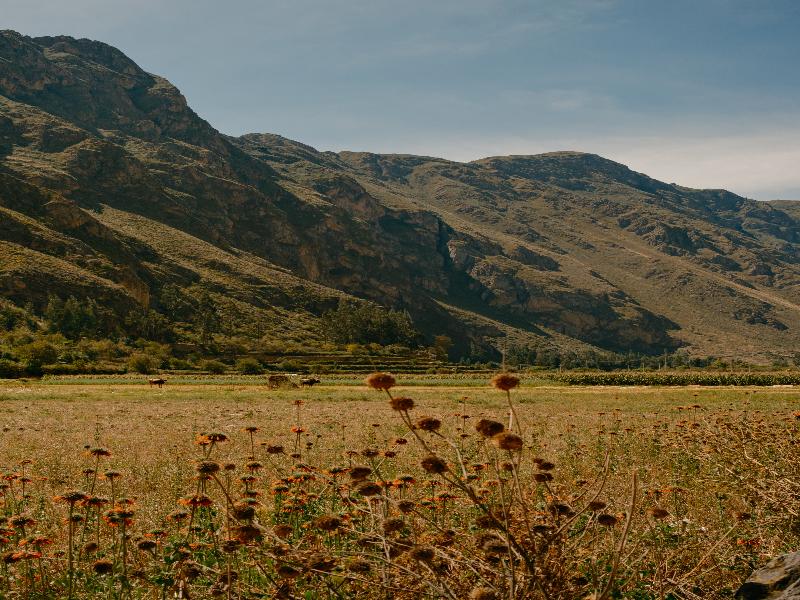 Rio Sagrado, A Belmond Hotel, Sacred Valley image