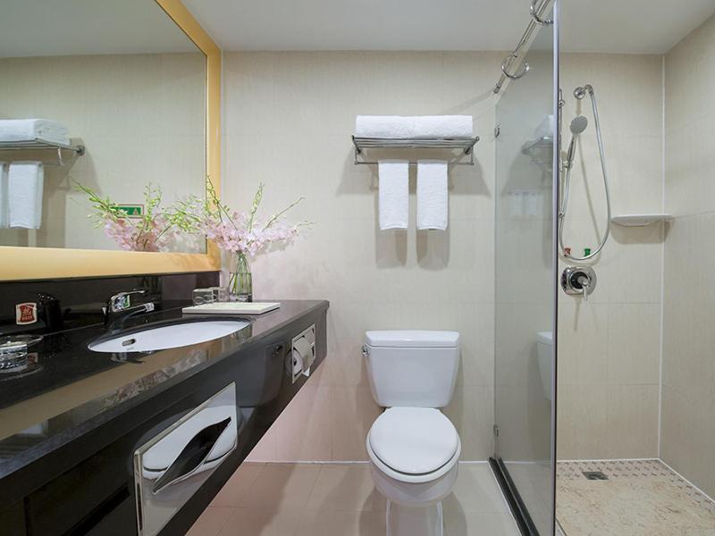 Vienna Hotel Dongguan Changping Avenue — view