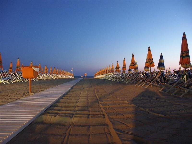 Marchionni image