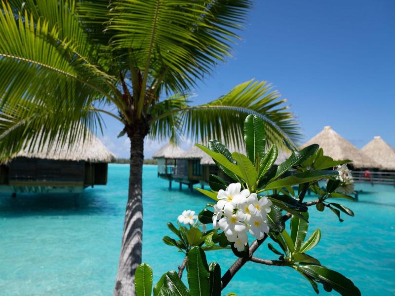 The St. Regis Bora Bora Resort image