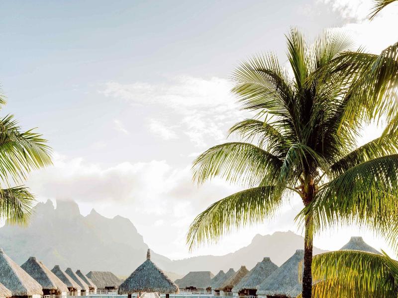 The St. Regis Bora Bora Resort image
