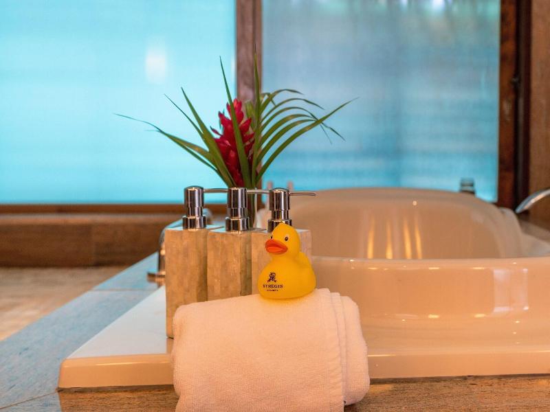 The St. Regis Bora Bora Resort image