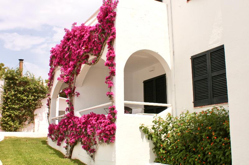 Apartamentos Playa Parc image