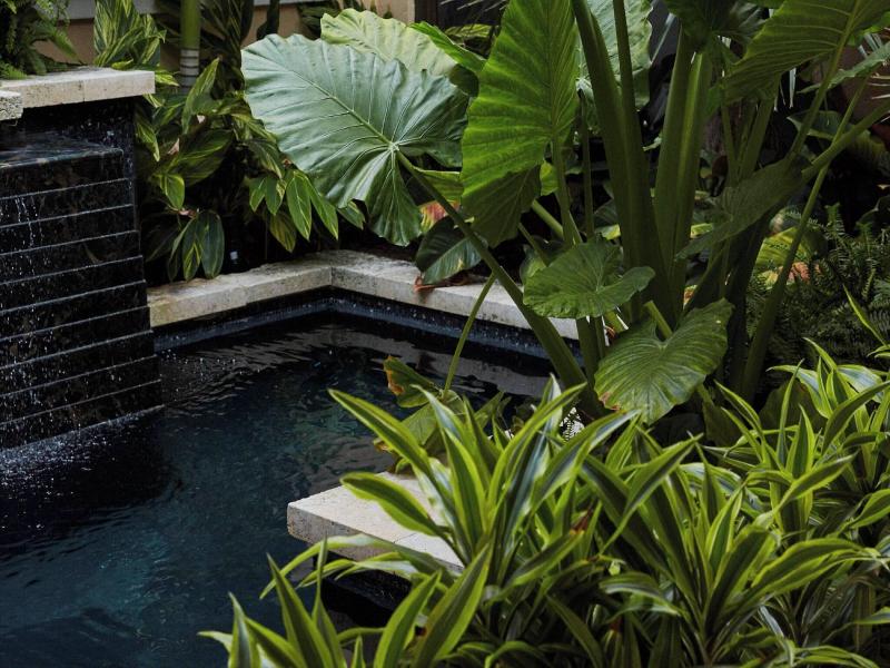 Jw Marriott Miami Turnberry Resort & Spa image