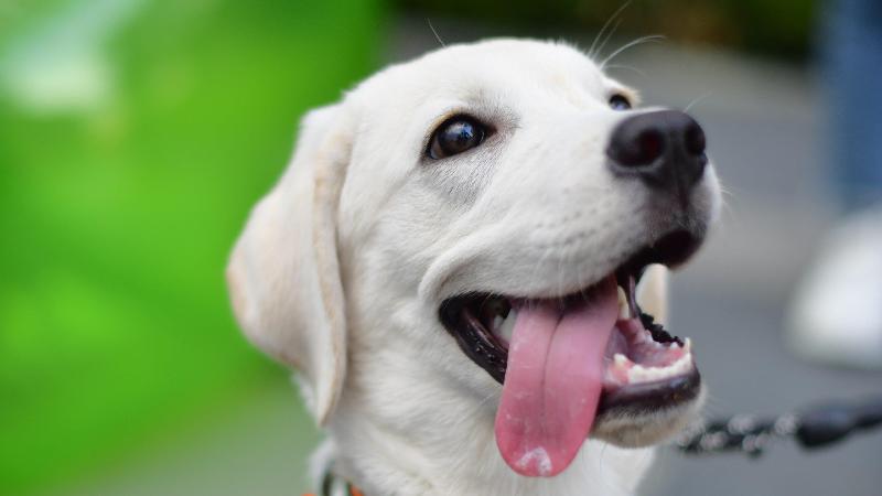 Kimpton Suzhou Bamboo Grove