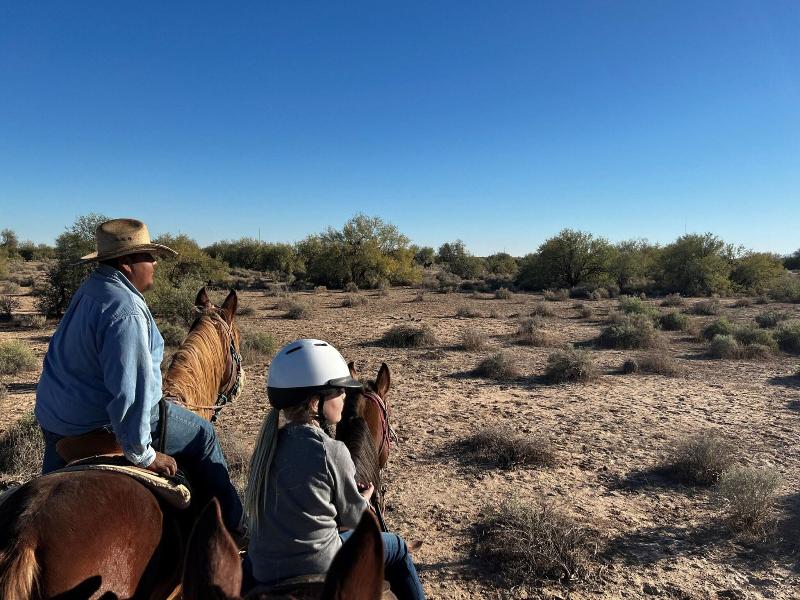 Sheraton Grand Wild Horse Pass image
