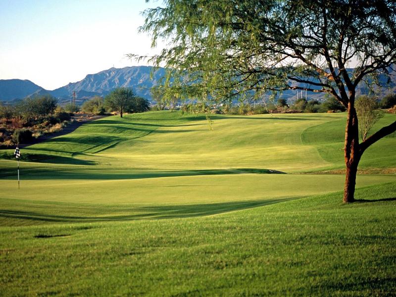 Sheraton Grand Wild Horse Pass image