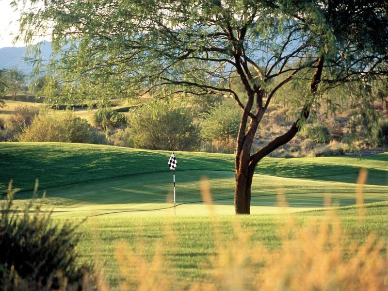 Sheraton Grand Wild Horse Pass image