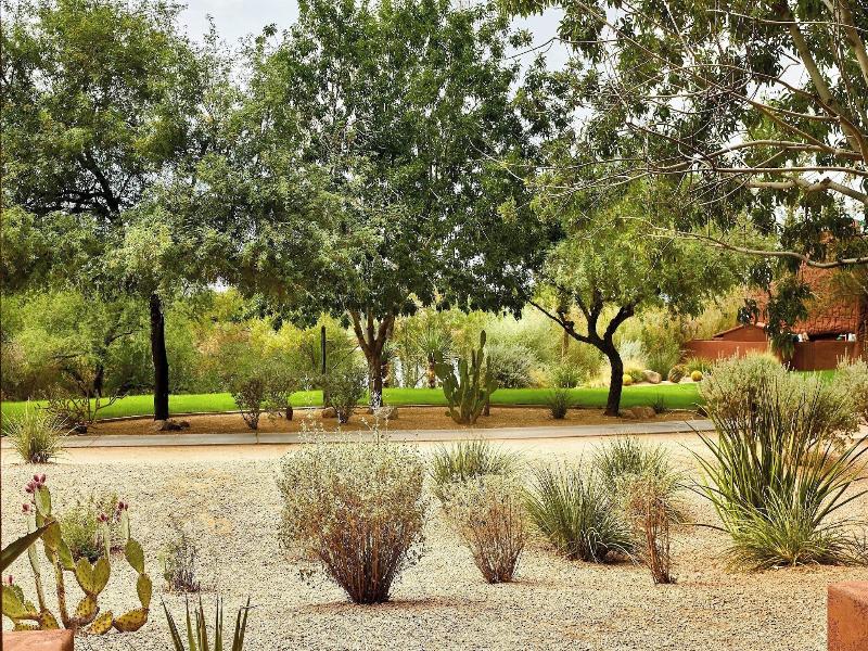 Sheraton Grand Wild Horse Pass image