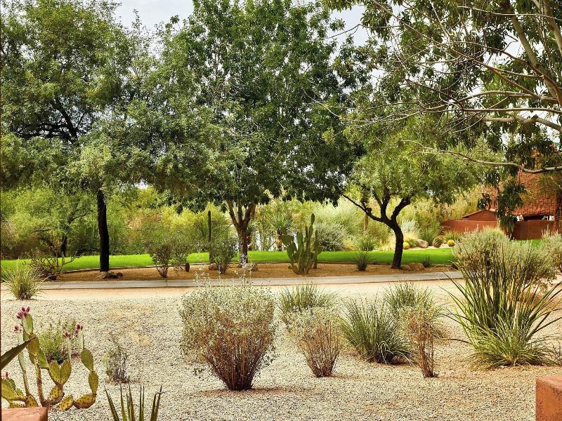 Sheraton Grand Wild Horse Pass image