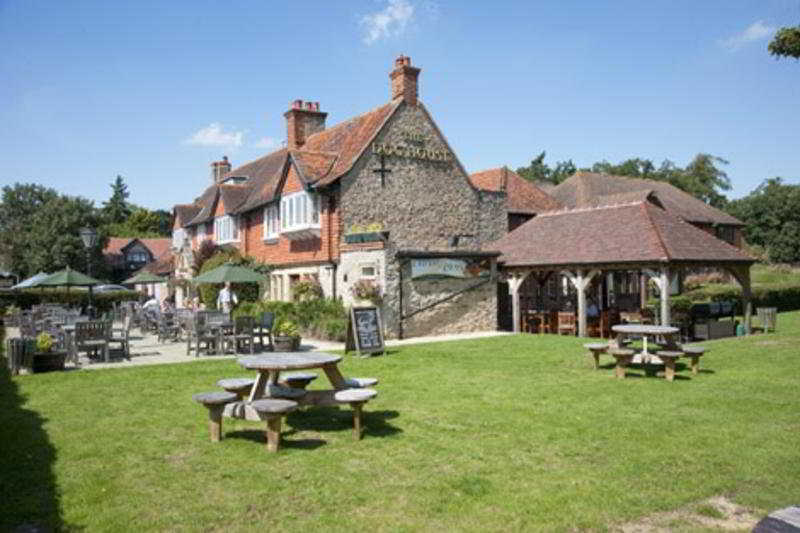 The Dog House