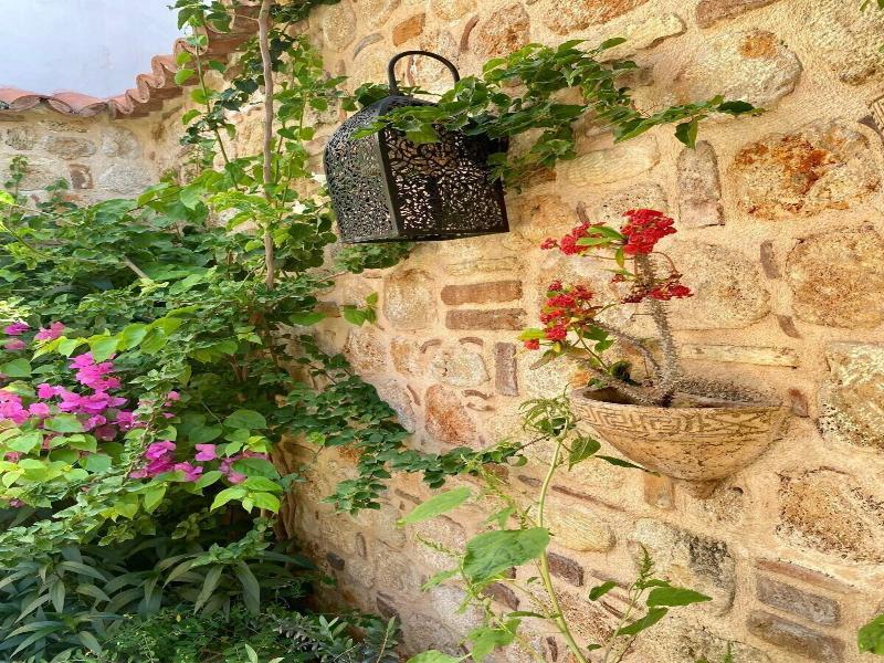 Pina Hotel Kaleici Oldtown 5