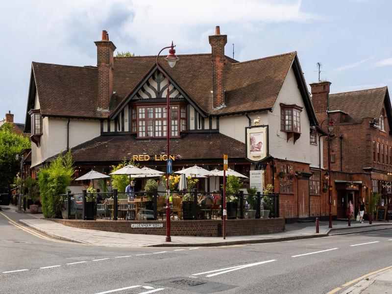 Red Lion image