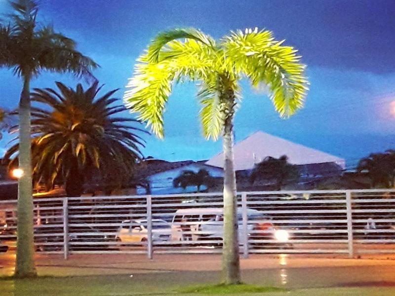 Arenal image