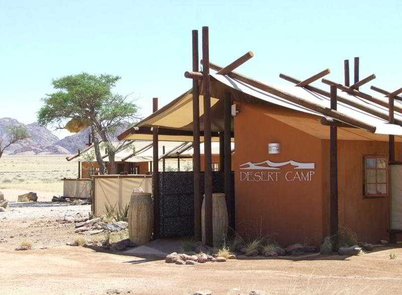 Desert Camp — general view
