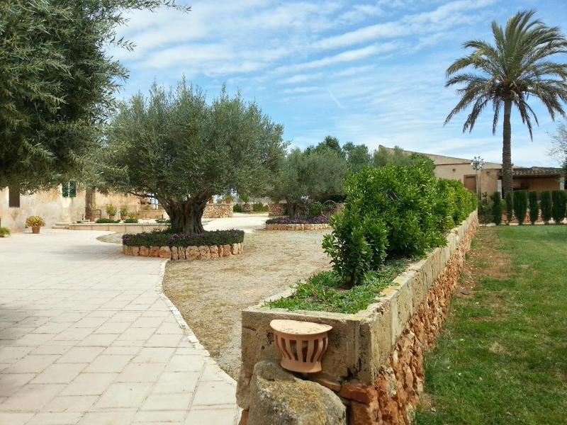 Finca Son Sala  image