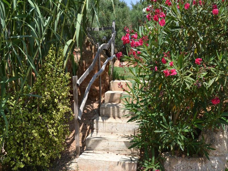 Finca Son Sala  image