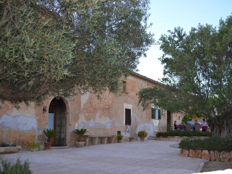 Finca Son Sala  image