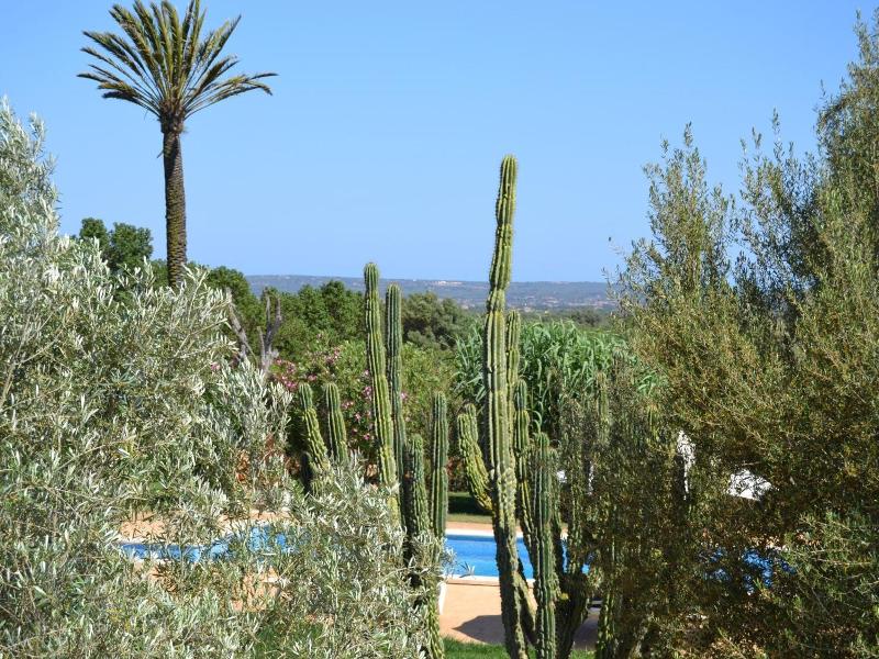Finca Son Sala  image
